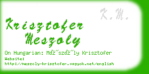 krisztofer meszoly business card